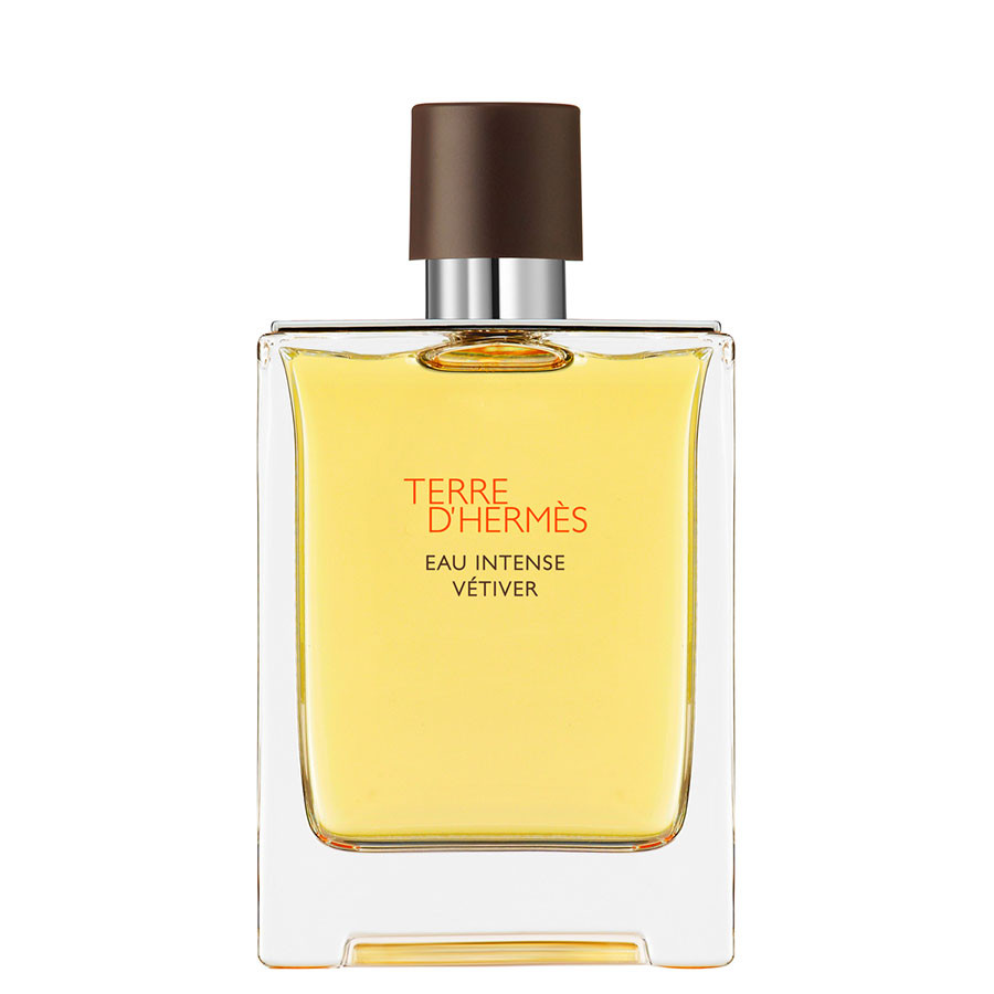 Terre D'Hermès Eau Intense Vétiver, Eau De Parfum 100ML