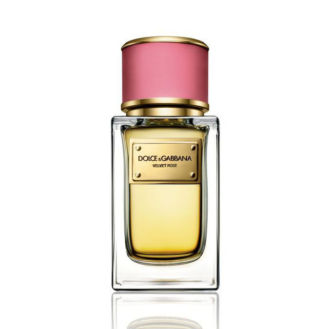Dolce & Gabbana Dg Velvet Collection Rose EDP 50ML