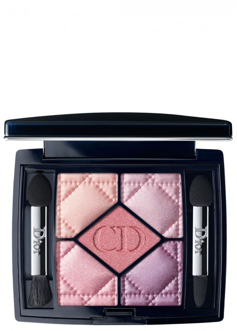 Dior Coul 5 Couleurs Eyeshadow  846
