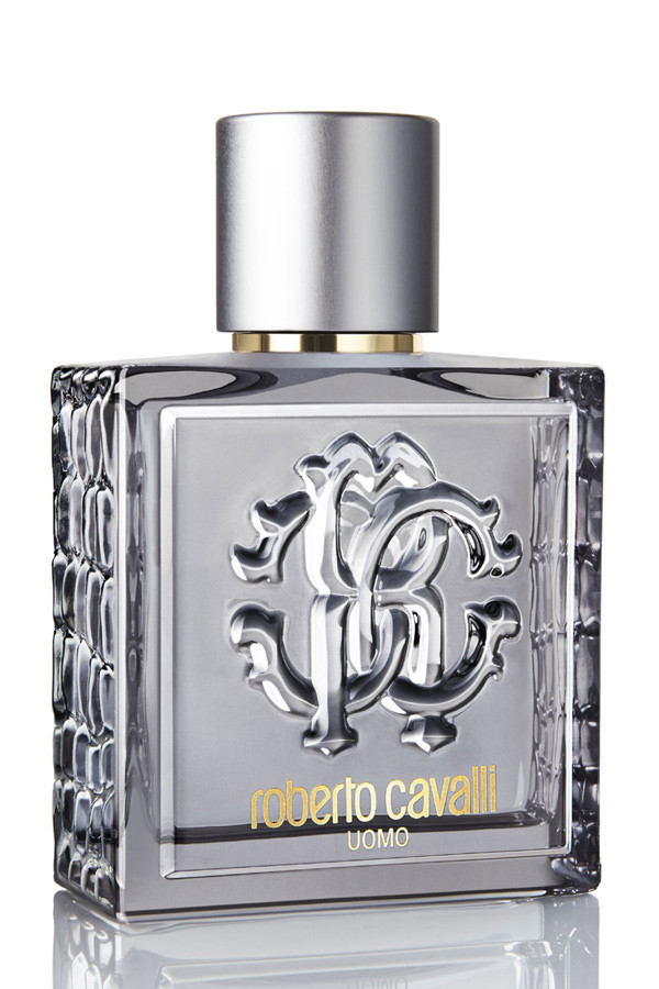 Roberto Cavalli Uomo Silver Essence 100ML EDT Erkek Parfümü
