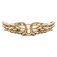 Zadig & Voltaire L'Intense Eau De Parfum Intense 90ML Kadın Parfüm