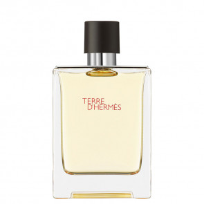 Terre d'Hermès, Eau de Toilette 100ML