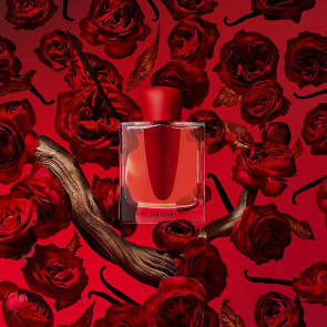 Shiseido Ginza Eau De Parfum Intense 50ML Kadın Parfümü