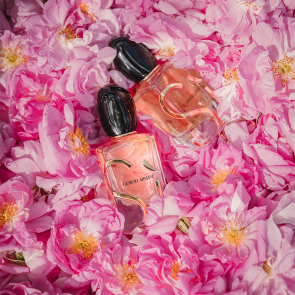 Giorgio Armani Si EDP Bayan Parfüm 100 ml