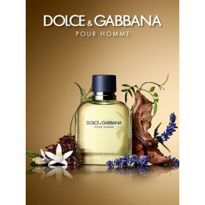 Dolce & Gabbana Dolce & Gabbana Pour Homme EDT Erkek Parfüm 75ml
