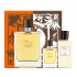Hermes Terre D'Hermes Eau Intense Vetiver EDP 100ML Erkek Parfüm Seti 1