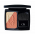 Dior DiorSkin Diorblush Sculpt Coral Shape 002 Allık