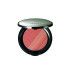 Kanebo Sensai Cheek Blush  2