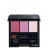 Shiseido Luminizing Eyecolor Trio PK403