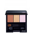 Shiseido Luminizing Eyecolor Trio BR214
