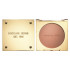 Michael Kors Bronze Powder Glam Shade - Jet Set