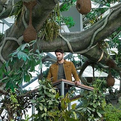 BVLGARI MAN WOOD ESSENCE ERKEK PARFÜM SETİ