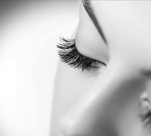 DAHA UZUN KIVRIMLI KİRPİKLER