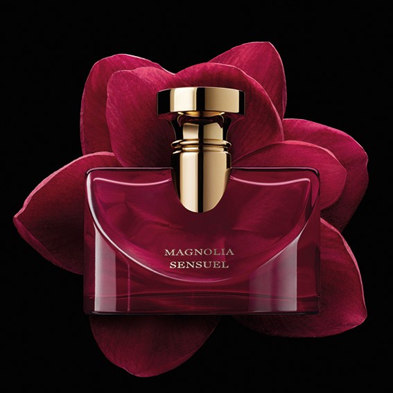 PARLAYAN YENİ YILDIZ