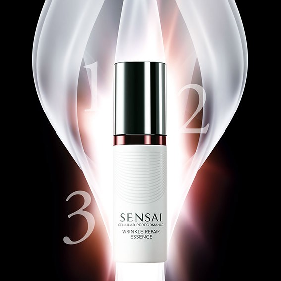 ÜÇ AŞAMADA GENÇLİK