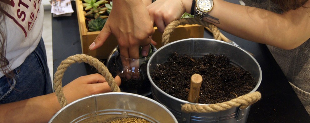 TERARYUM WORKSHOPU AKASYA SEVİL’DEYDİ