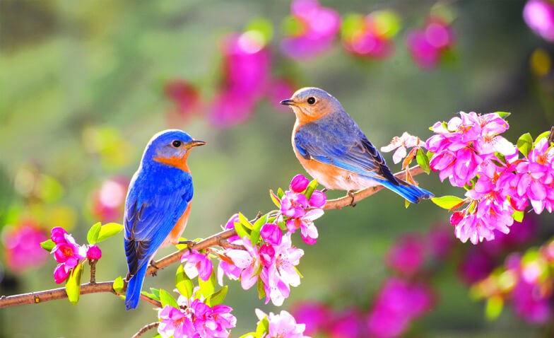 ULUSAL EGEMENLİK VE ÇOCUK BAYRAMI KUTLU OLSUN!