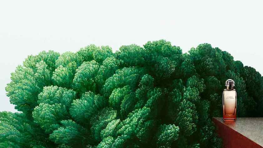 GÖLET ÜZERİNDE BİR BAHÇE